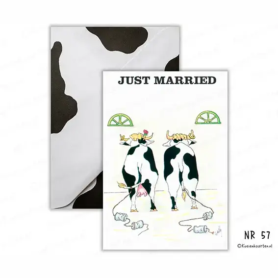 57 just married koeienkaart particulier wenskaart koe cartoon kaart