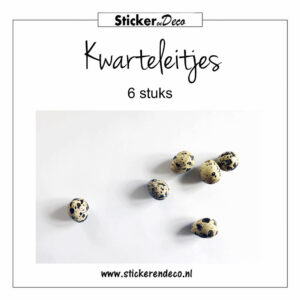 Kwarteleitjes decoratie 6 stuks