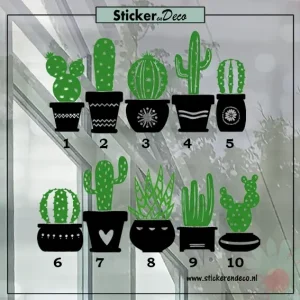 Raamsticker Cactus met figuurtjes zwart groen