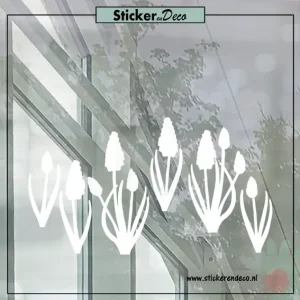 Raamsticker blauwe druifjes wit