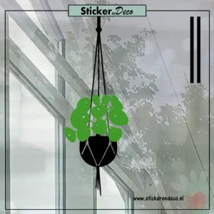 Raamsticker pannenkoek hangplant pilea zwart groen