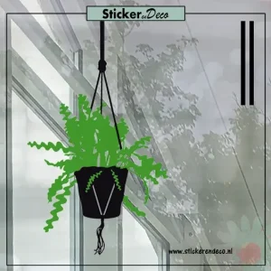 Raamsticker zaagcactus Epiphyllum Anguliger hangplant zwart groen