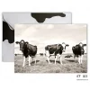 Fotokaart Koeienkaart staand KF 103 koeien foto