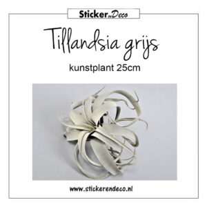 Tillandsia grijs 25cm kunst