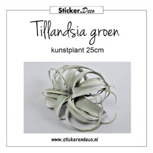 Tillandsia groen 25cm kunstplant